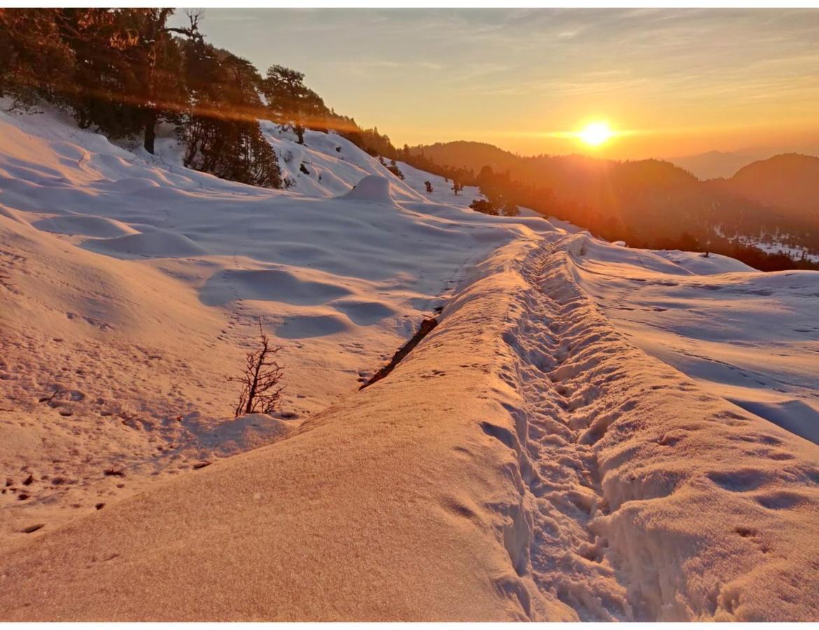 Chopta Wildlife Camps Resorts, Chopta Exterior foto