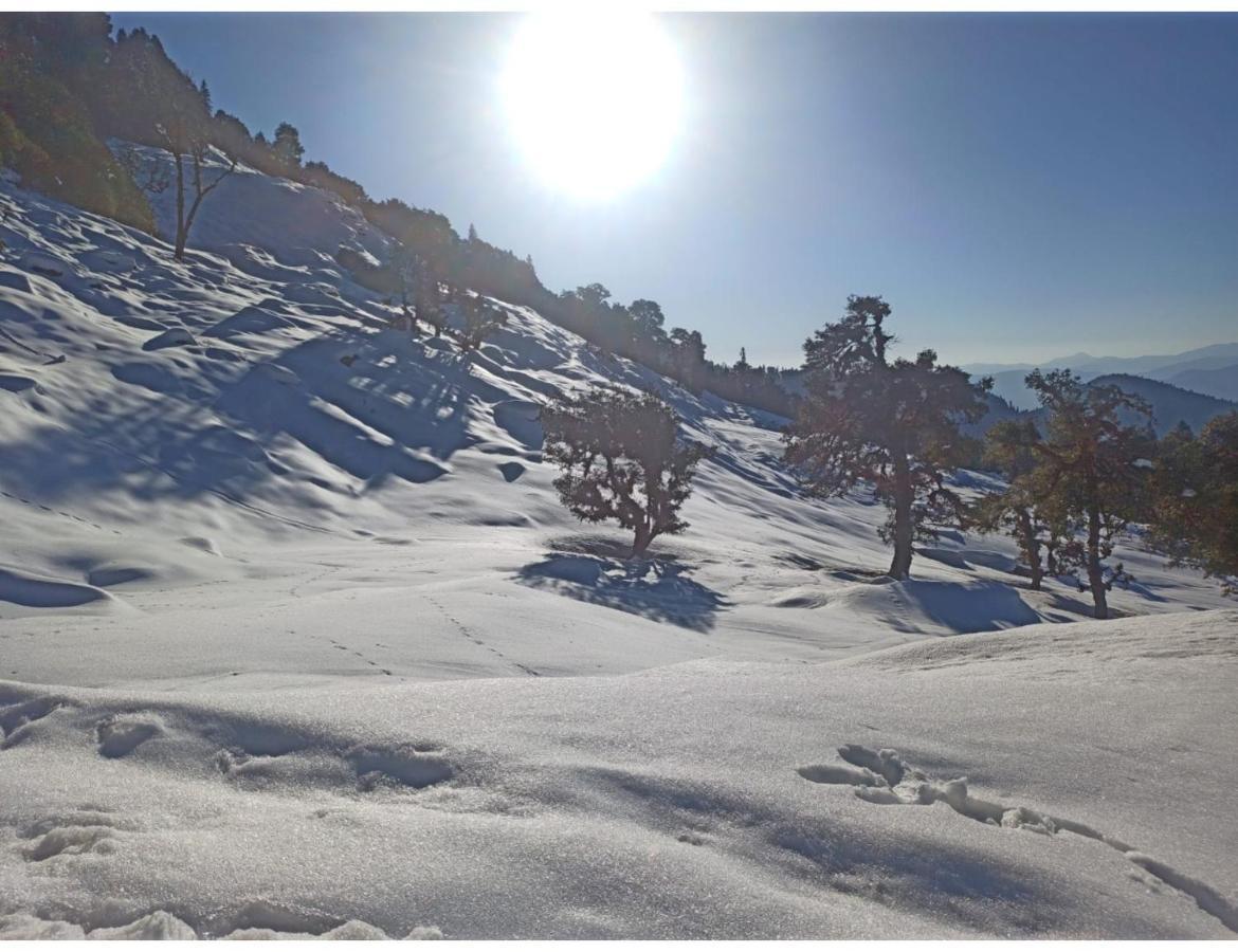 Chopta Wildlife Camps Resorts, Chopta Exterior foto