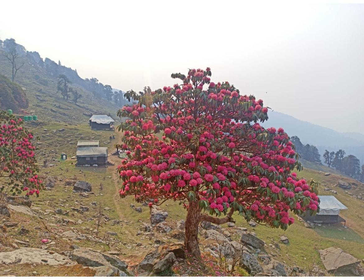 Chopta Wildlife Camps Resorts, Chopta Exterior foto